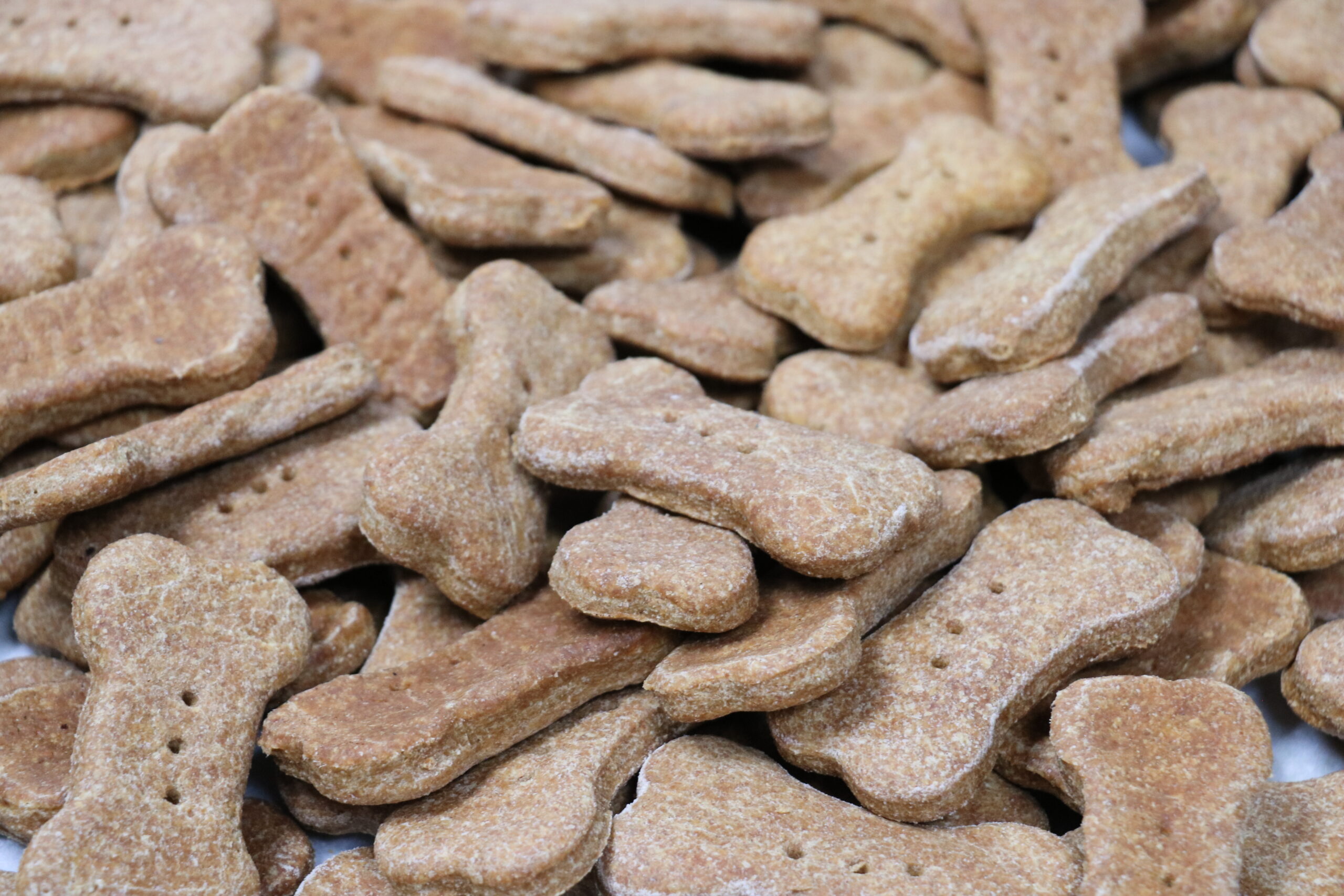 Milk Bones Zoomed In